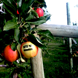 Meet the Folks Who Grow Your Fruit